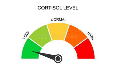 cortisol quizlet|cortisol levels chart.